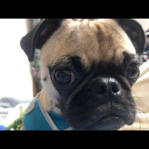 Meet your Posher, Gabrielle